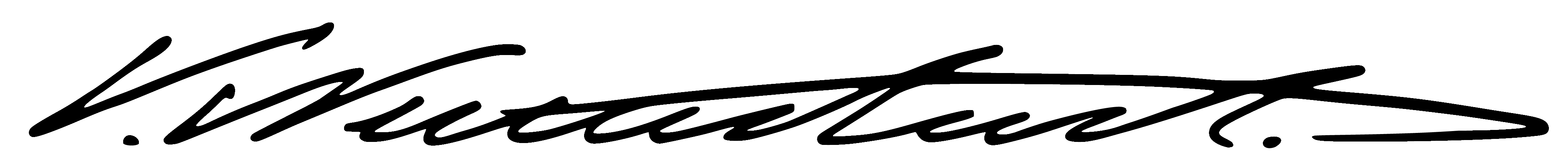 VW signature